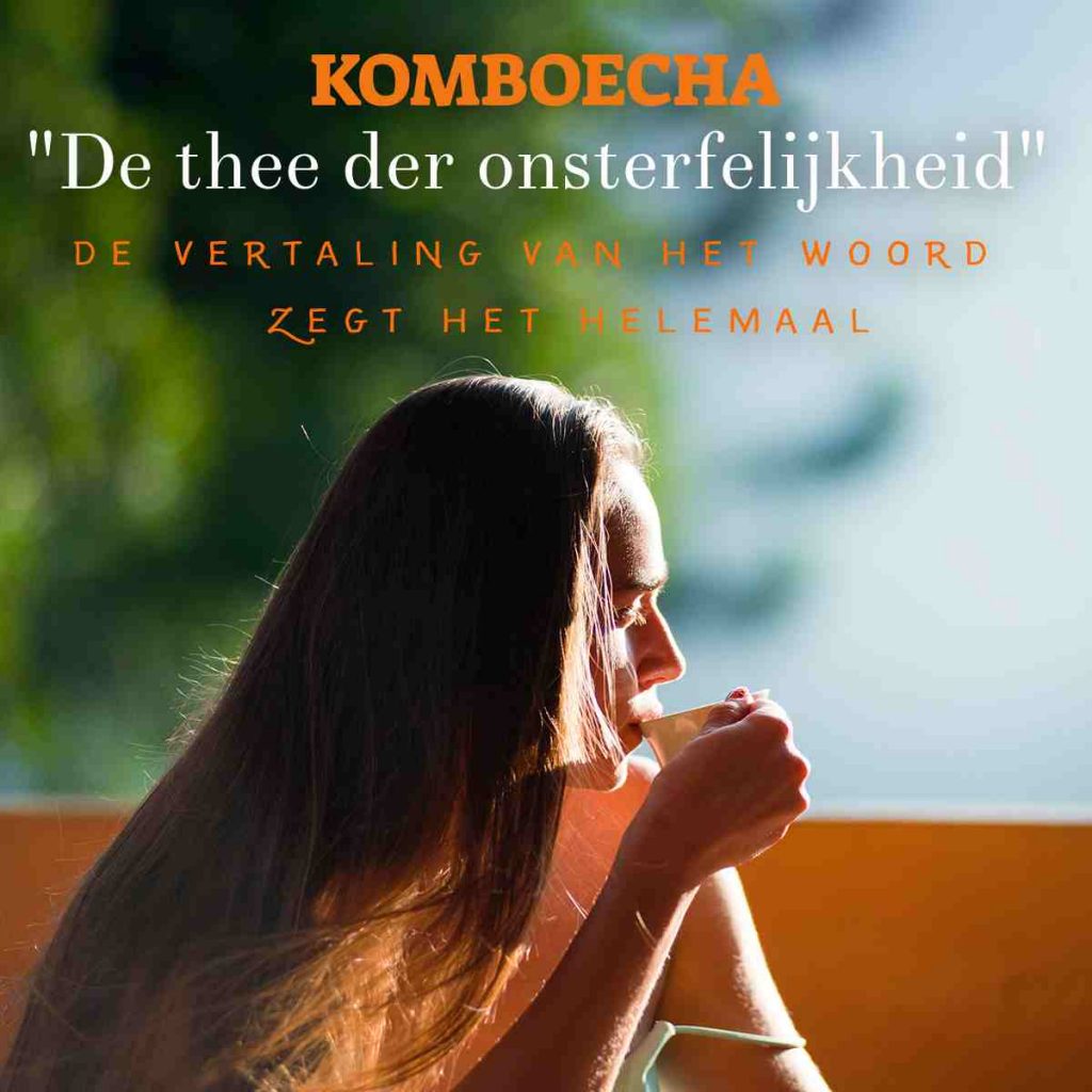 de vertaling van Komboecha is "De thee der onsterfelijkheid" . De vertaling van het woord zegt het helemaal